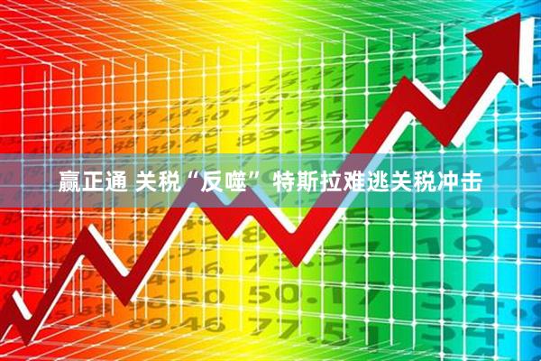 赢正通 关税“反噬” 特斯拉难逃关税冲击