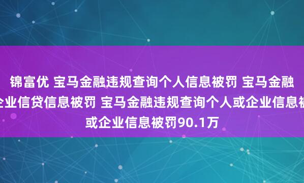 锦富优 宝马金融违规查询个人信息被罚 宝马金融违规查询企业信贷信息被罚 宝马金融违规查询个人或企业信息被罚90.1万