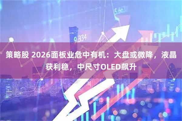 策略股 2026面板业危中有机：大盘或微降，液晶获利稳，中尺寸OLED飙升